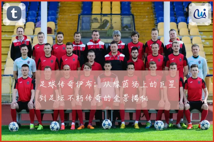 足球传奇伊布：从绿茵场上的巨星到足坛不朽传奇的全景揭秘