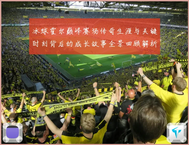 冰球霍尔巅峰赛场传奇生涯与关键时刻背后的成长故事全景回顾解析