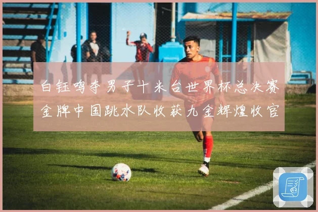 白钰鸣夺男子十米台世界杯总决赛金牌中国跳水队收获九金辉煌收官赛事前瞻