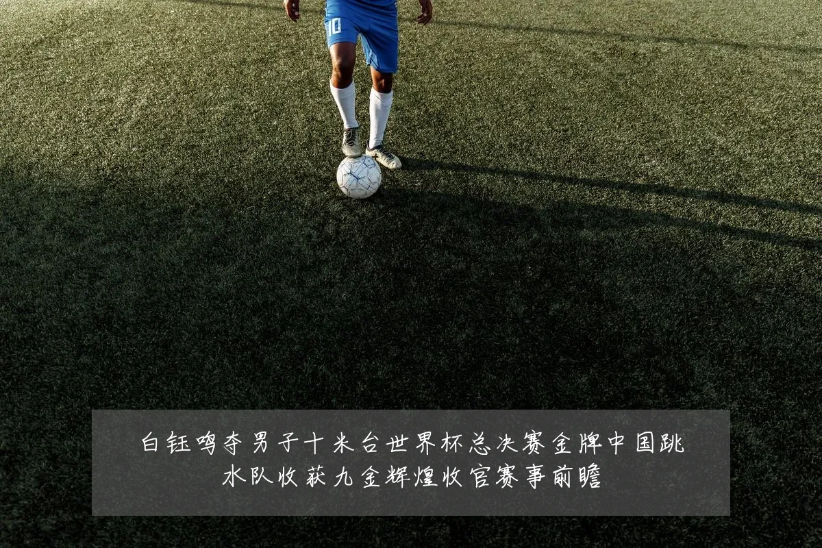 白钰鸣夺男子十米台世界杯总决赛金牌中国跳水队收获九金辉煌收官赛事前瞻